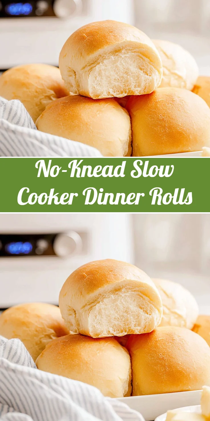 No-Knead Slow Cooker Dinner Rolls
